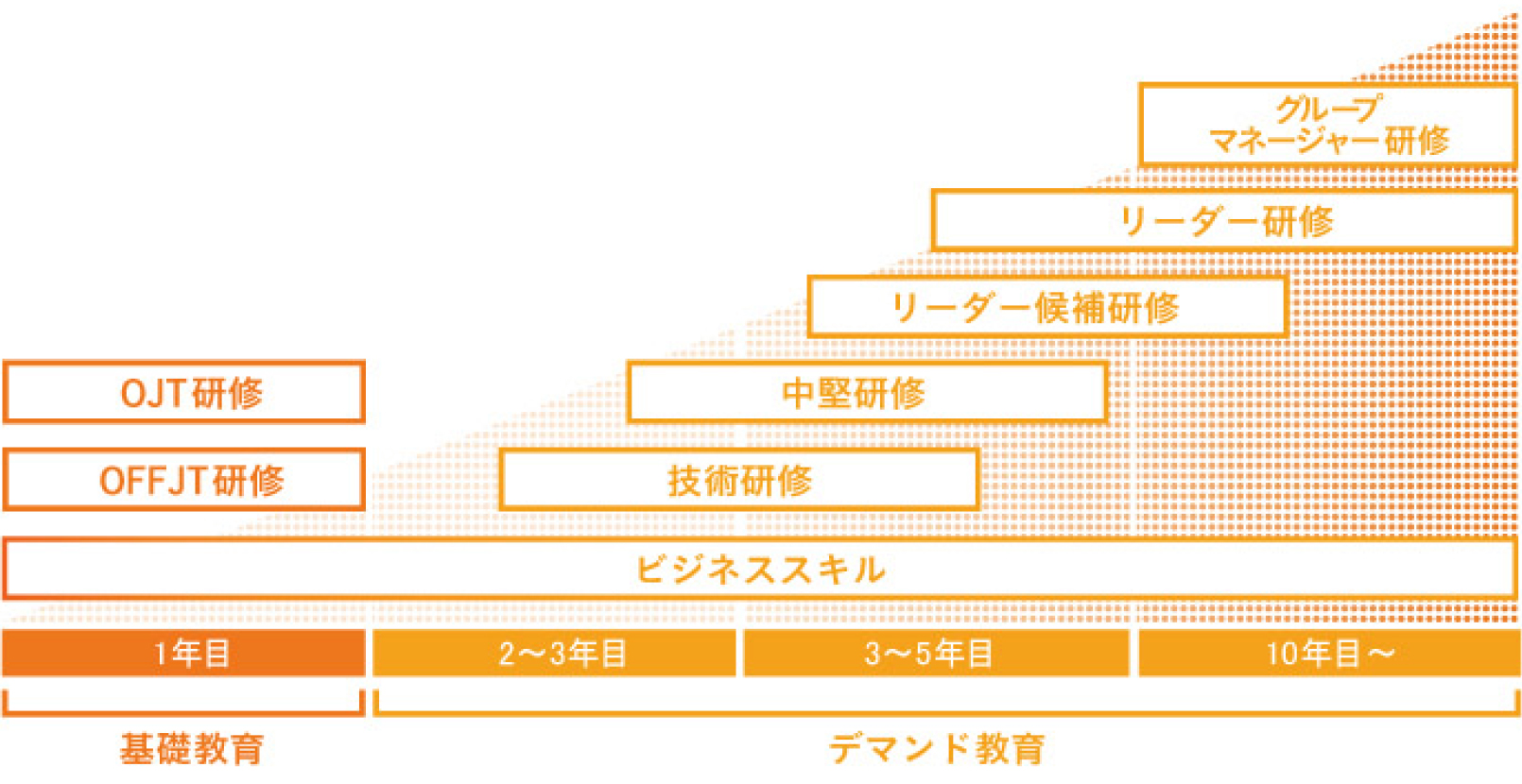 キャリア育成概要図